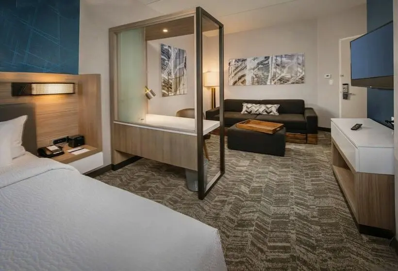 Sviitti, Springhill Suites By Marriott Gainesville Haymarket