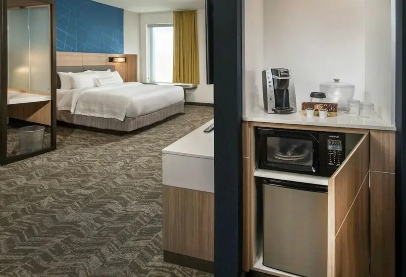 Sviitti, Springhill Suites By Marriott Gainesville Haymarket