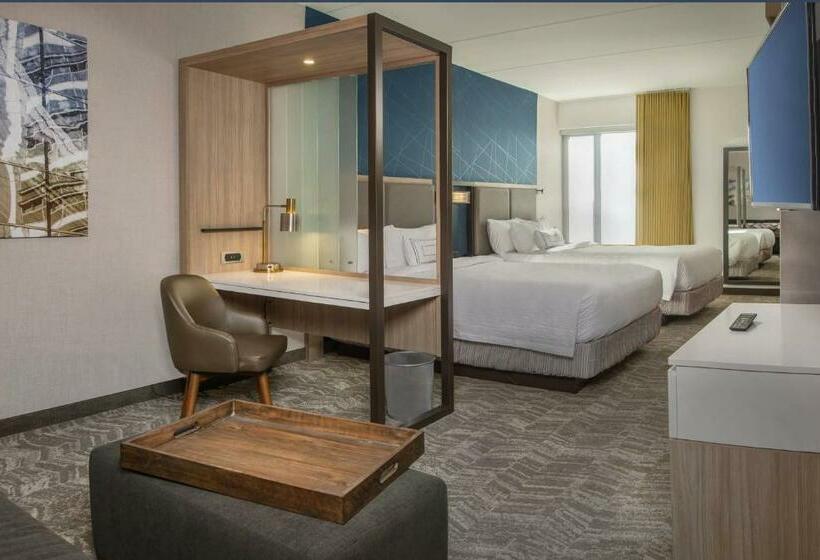 Люкс, Springhill Suites By Marriott Gainesville Haymarket
