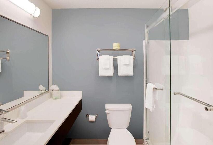 Quarto Estandar para Deficientes Físicos, Woodspring Suites Plano  North Dallas