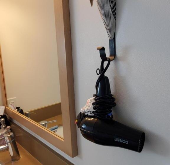 غرفة قياسية مطلّة علي البحر, Moonstone Beach Motel