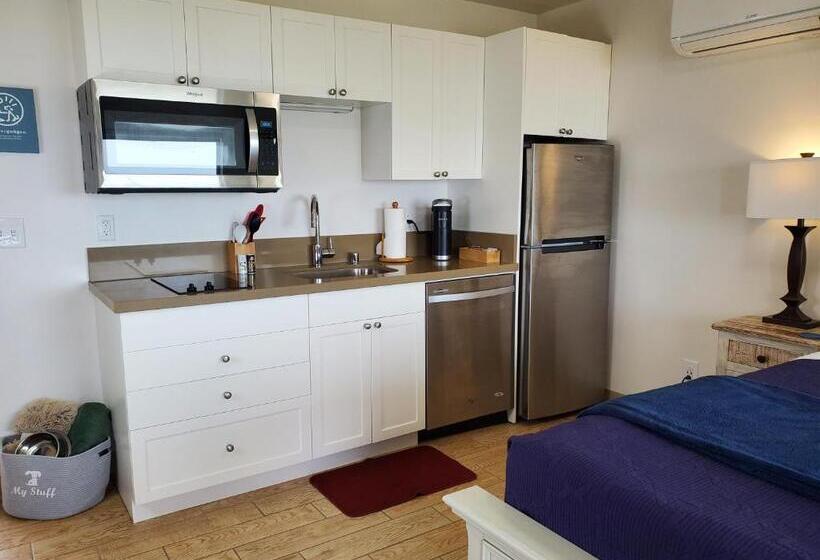 Номер Deluxe Вид на Море с Балконом, Moonstone Beach Motel