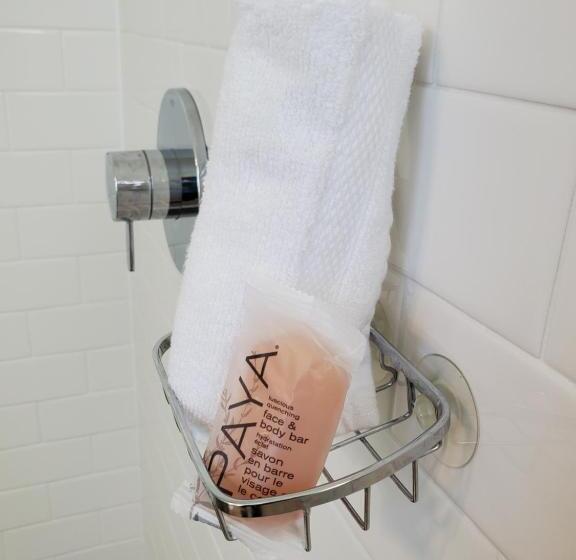 جناح جونيور مطلّ علي البحر, Moonstone Beach Motel