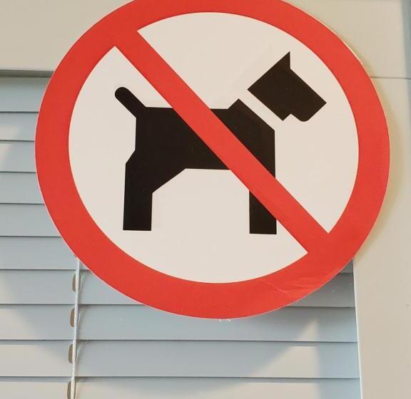 إستوديو ديلوكس, Moonstone Beach Motel