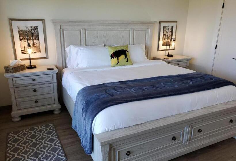 إستوديو قياسى, Moonstone Beach Motel