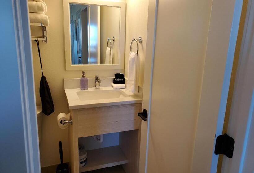 Полулюкс Повышенной Комфортности, Moonstone Beach Motel