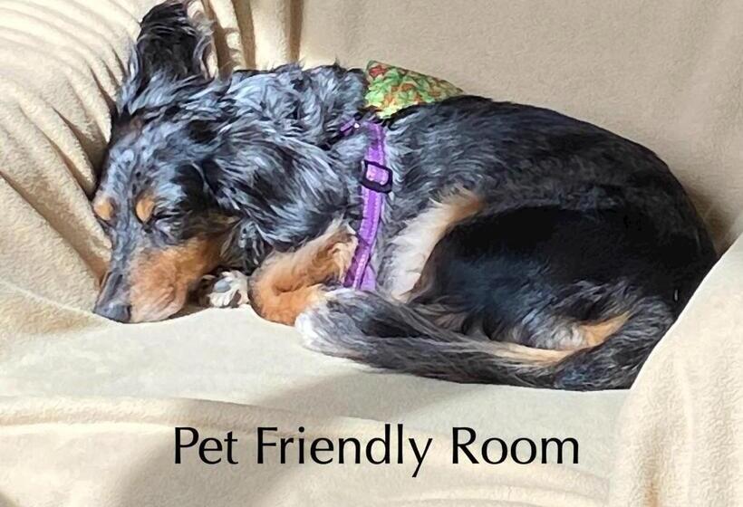 جناح عائلي, Moonstone Beach Motel