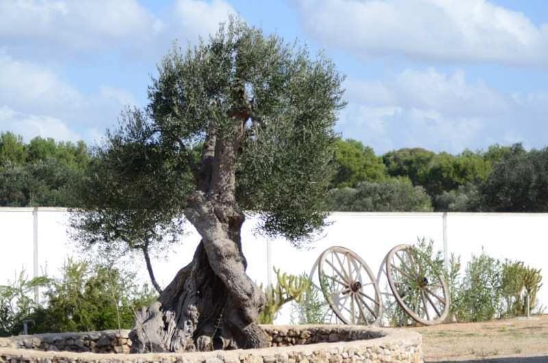 غرفة قياسية ثلاثية, Villa Arneide