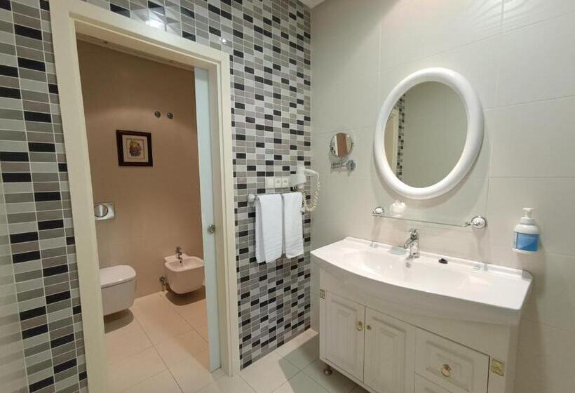 Habitación Superior Vista Ciudad, Bossh Alicia