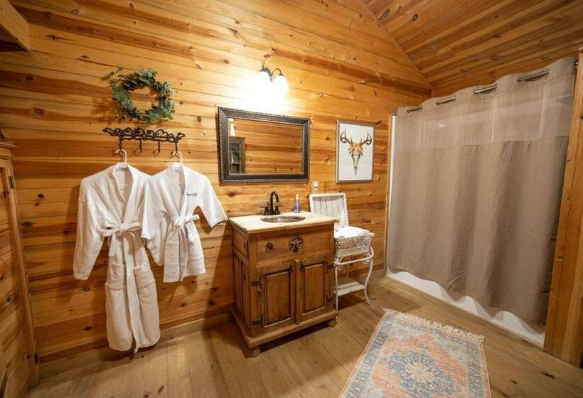 קוטג' דלוקס, City On A Hill At Spring Creek