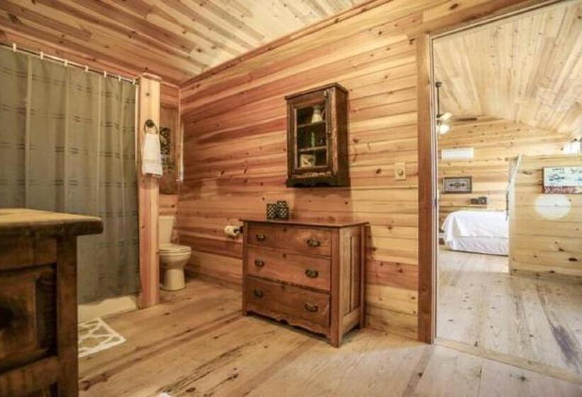 קוטג' דלוקס, City On A Hill At Spring Creek