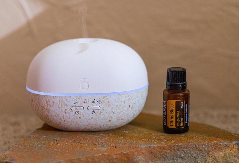 キングサイズベッドのスタンダードルーム, West Park Gardens