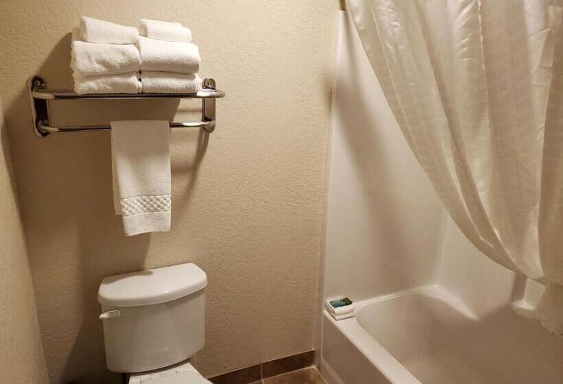 Номер Стандарт, Cobblestone Inn & Suites  Maryville
