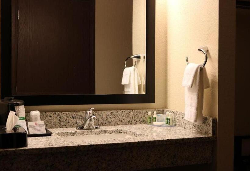 Студио Стандарт Кровать Кинг, Cobblestone Inn & Suites  Maryville