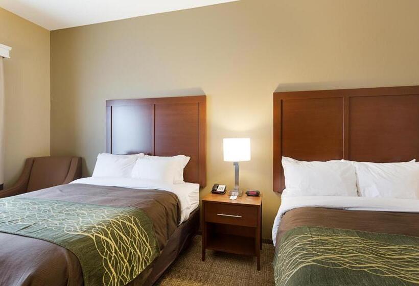 غرفة قياسية, Comfort Inn & Suites Zachary
