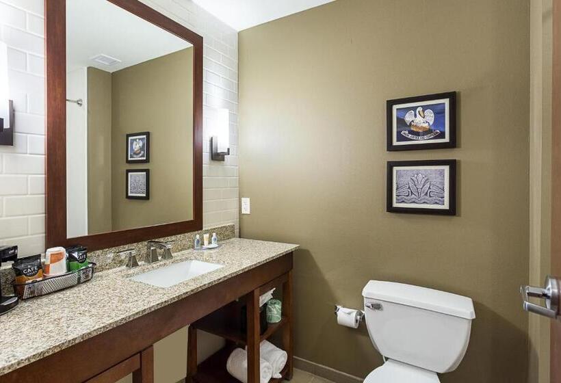 غرفة قياسية سرير كينج, Comfort Inn & Suites Zachary