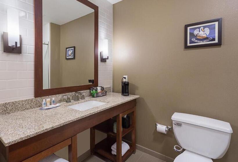 غرفة قياسية سرير كينج, Comfort Inn & Suites Zachary