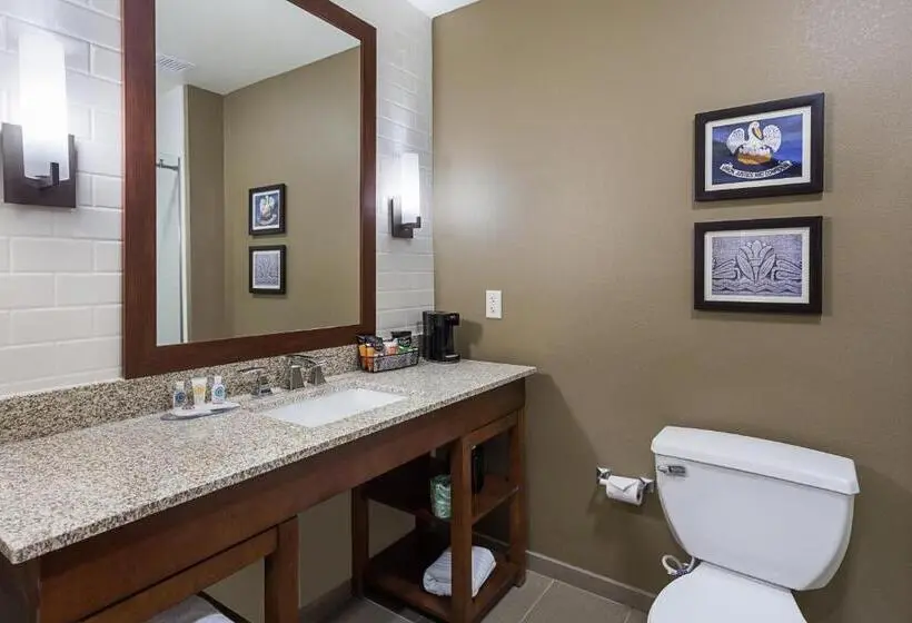 Standard-invahuone King-vuode, Comfort Inn & Suites Zachary
