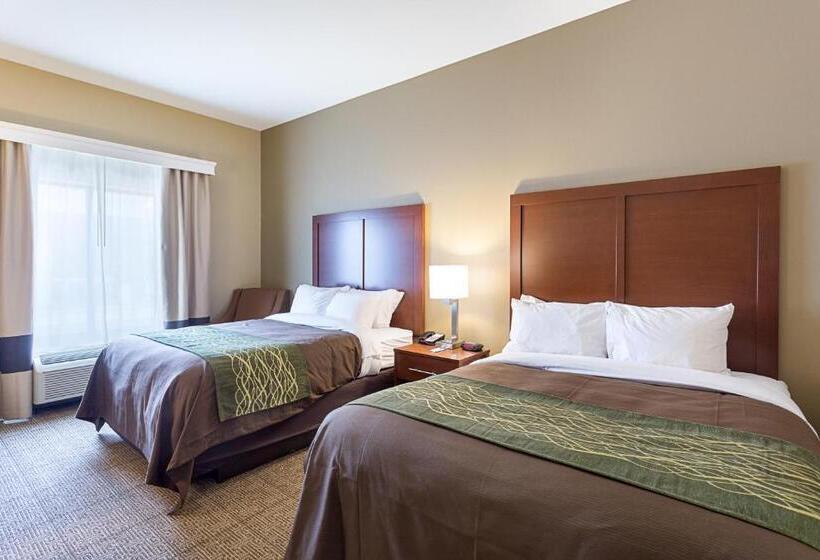 غرفة قياسية لذوى الاحتياجات الخاصة, Comfort Inn & Suites Zachary