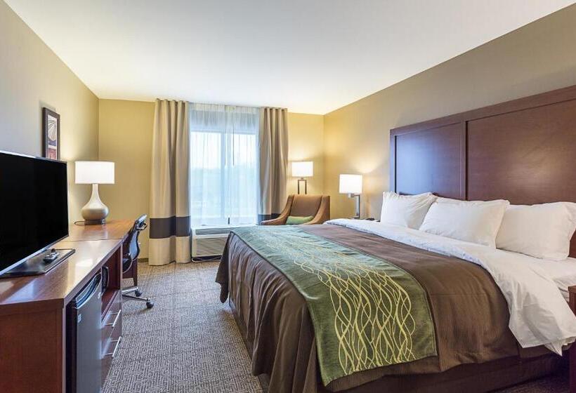 جناح لذوى الاحتياجات الخاصة, Comfort Inn & Suites Zachary