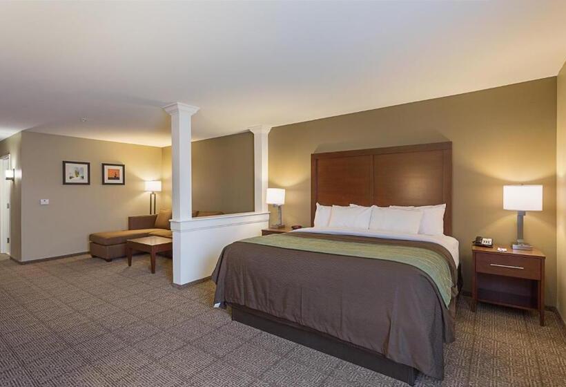 جناح لذوى الاحتياجات الخاصة, Comfort Inn & Suites Zachary