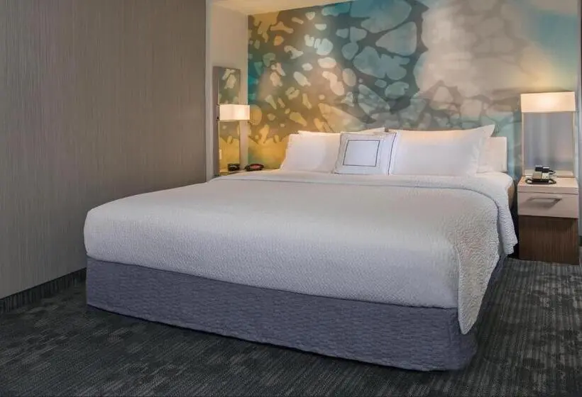 Standard-huone, Courtyard By Marriott Houston Northwest/cypress