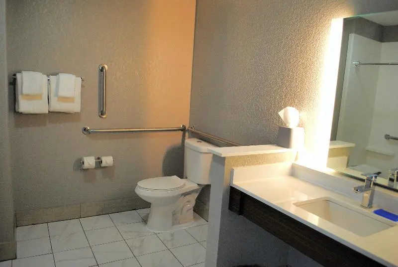 身障者適用キングサイズベッドルーム, Holiday Inn Express & Suites   Columbia City, An Ihg