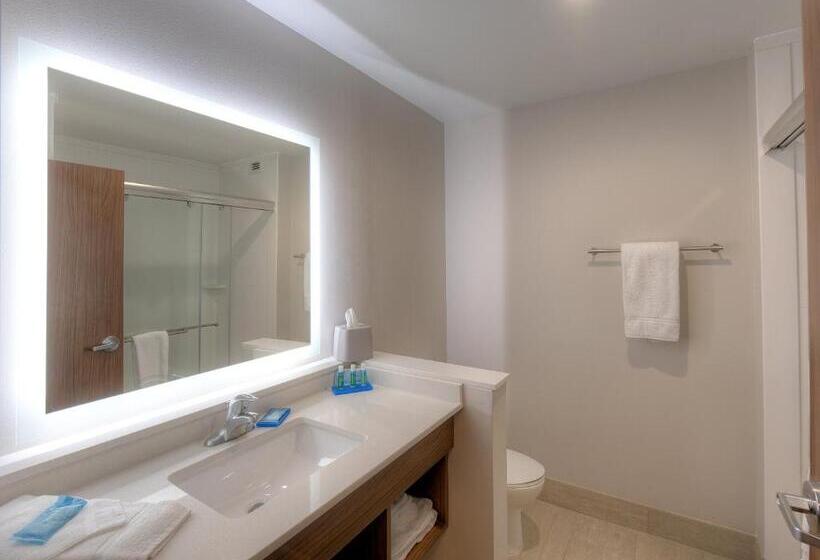 غرفة قياسية, Holiday Inn Express & Suites   Fort Mill, An Ihg