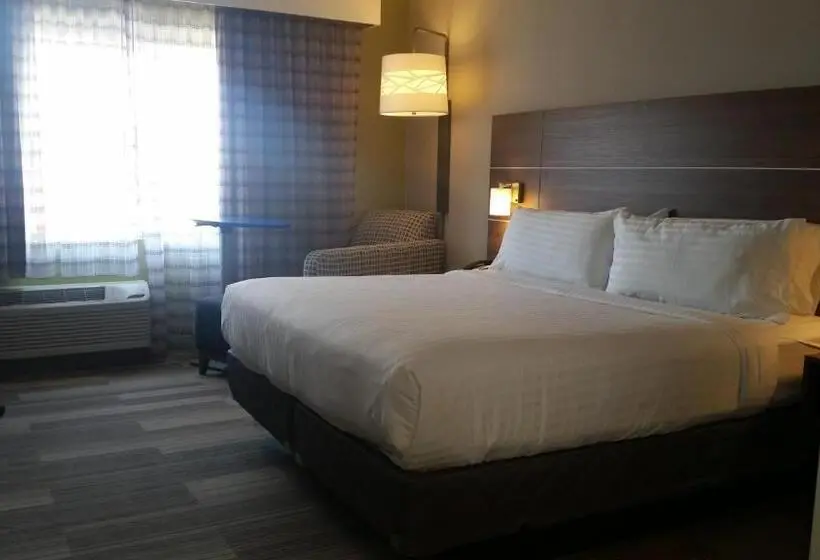 身障者適用キングサイズベッドルーム, Holiday Inn Express & Suites   Fort Mill, An Ihg