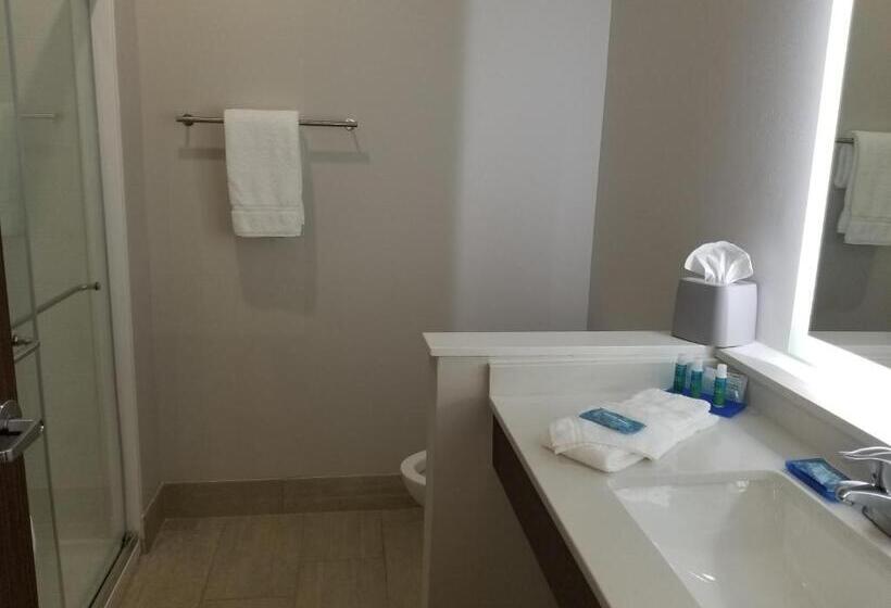 スタンダードルーム, Holiday Inn Express & Suites   Fort Mill, An Ihg
