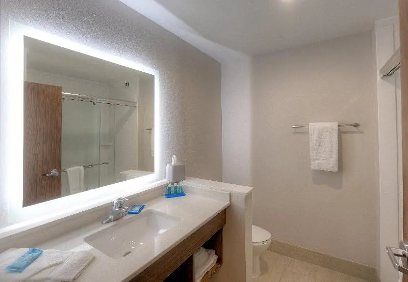 身障者適用スイートルーム, Holiday Inn Express & Suites   Fort Mill, An Ihg