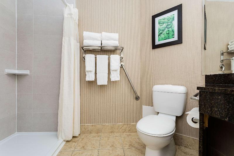 غرفة قياسية لذوى الاحتياجات الخاصة, Holiday Inn Express & Suites   Fort Mill, An Ihg