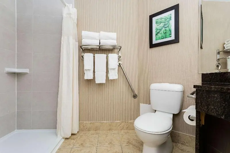 身障者適用スタンダードルーム, Holiday Inn Express & Suites   Fort Mill, An Ihg