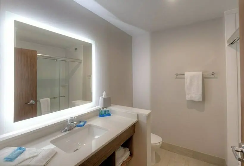 スイート, Holiday Inn Express & Suites   Fort Mill, An Ihg
