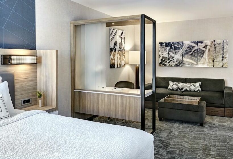 套房, Springhill Suites By Marriott Dallas Rockwall