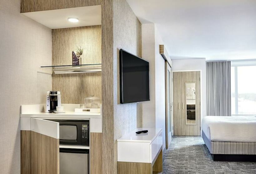 스위트, Springhill Suites By Marriott Dallas Rockwall