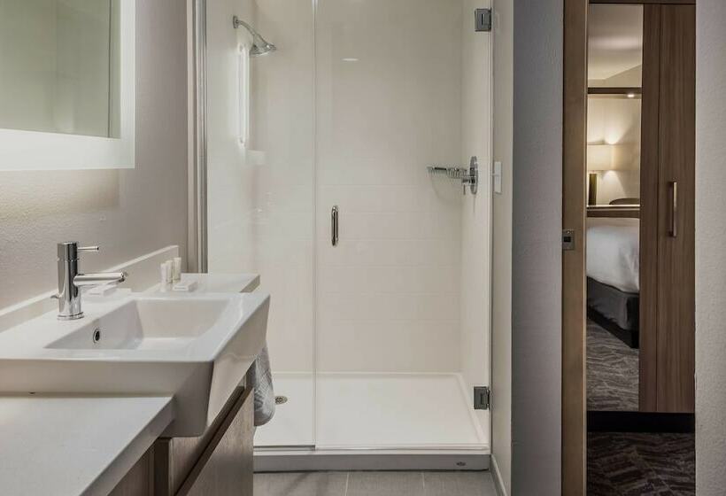 스위트, Springhill Suites By Marriott Dallas Rockwall