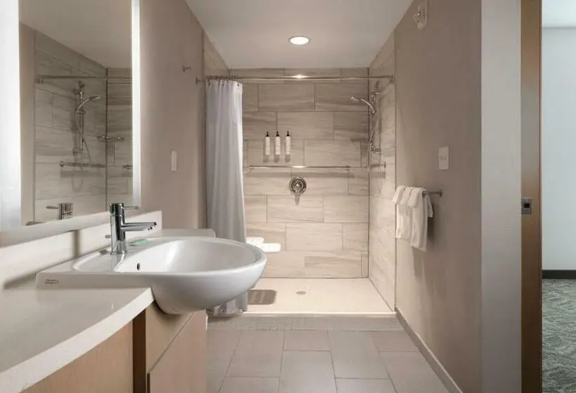 Sviitti King-vuode, Springhill Suites By Marriott Dallas Rockwall