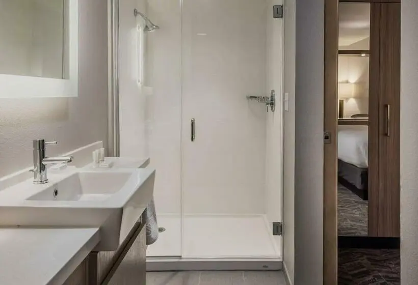 Sviitti King-vuode, Springhill Suites By Marriott Dallas Rockwall