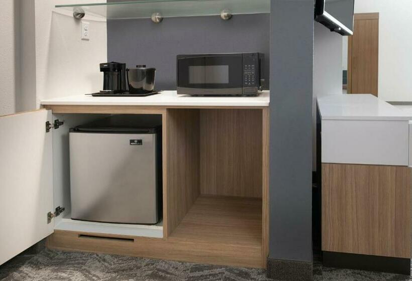 带大床的套房, Springhill Suites By Marriott Dallas Rockwall