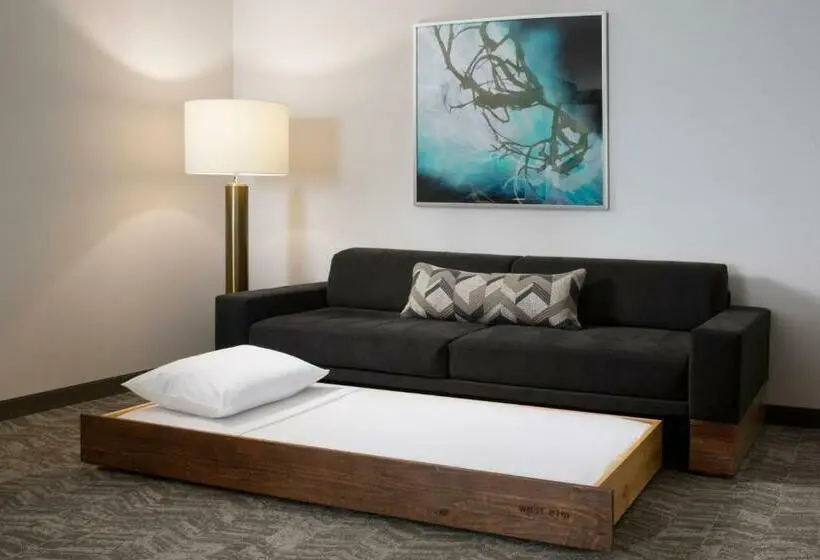 Sviitti King-vuode, Springhill Suites By Marriott Dallas Rockwall
