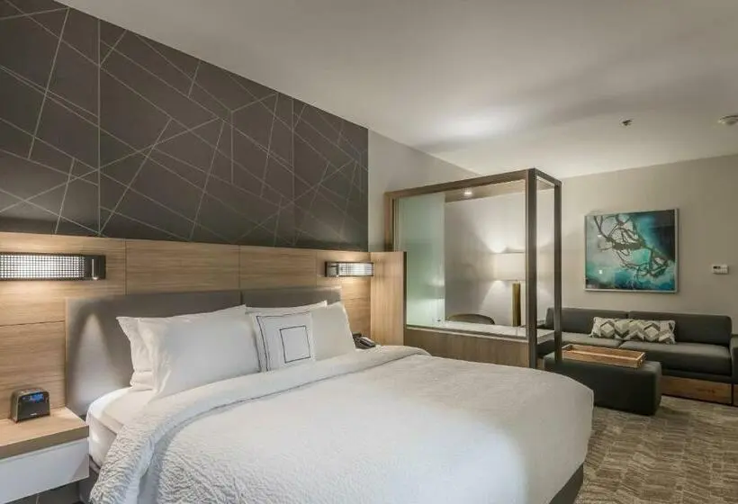 Sviitti King-vuode, Springhill Suites By Marriott Dallas Rockwall