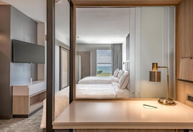 장애인을 위한 스위트, Springhill Suites By Marriott Dallas Rockwall