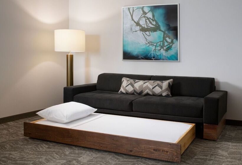 套房, Springhill Suites By Marriott Dallas Rockwall