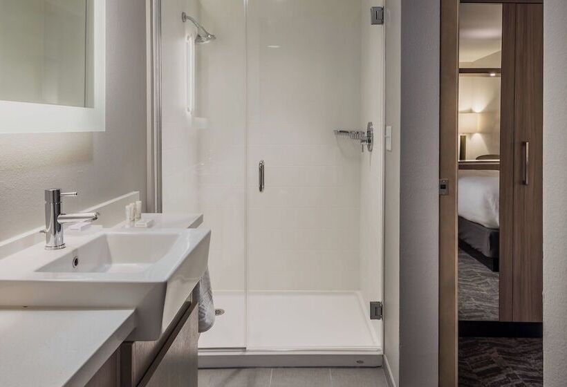 套房, Springhill Suites By Marriott Dallas Rockwall