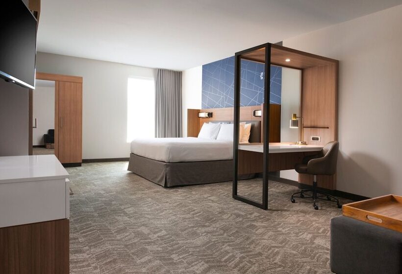 장애인을 위한 스위트, Springhill Suites By Marriott Dallas Rockwall