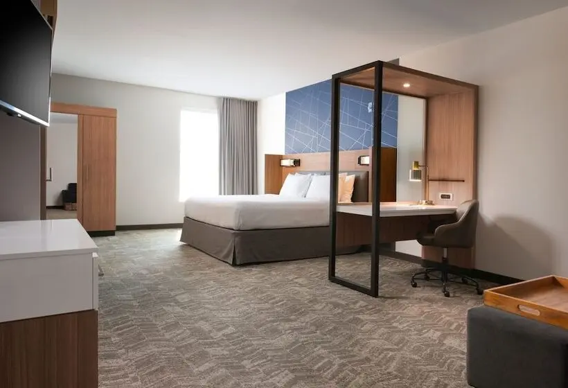 Sviitti Liikuntarajoitteisille, Springhill Suites By Marriott Dallas Rockwall