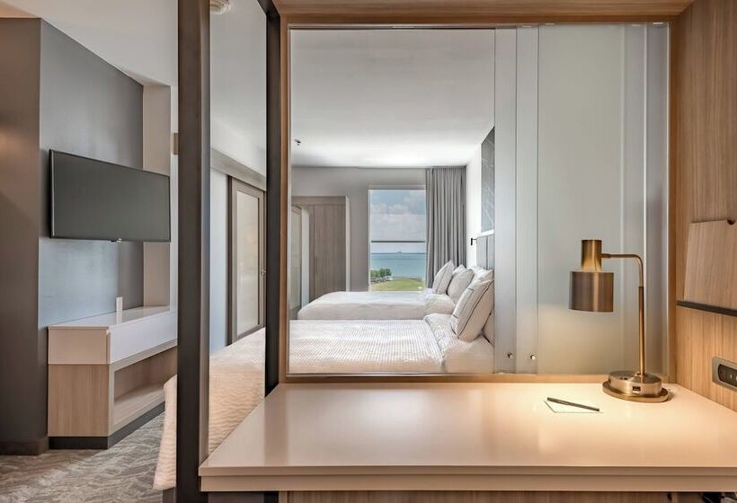 适合残疾人士使用的套间, Springhill Suites By Marriott Dallas Rockwall