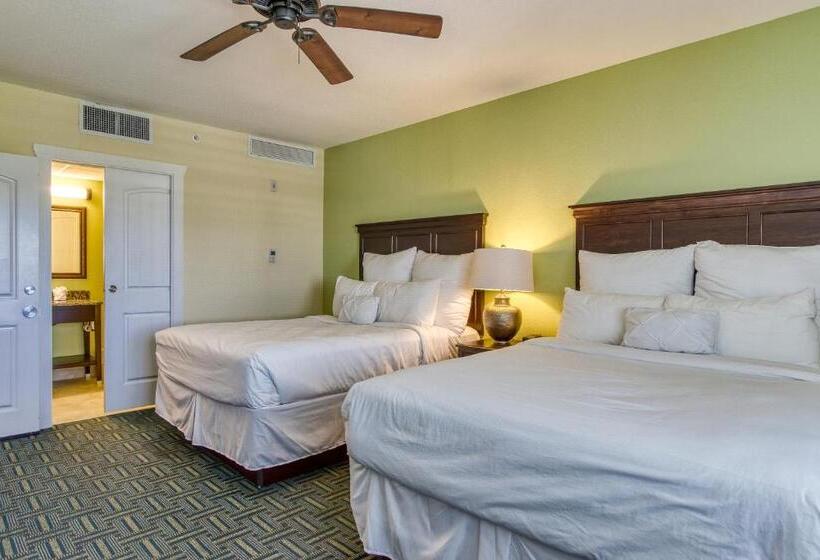דירת חדר נוף לבריכה, New Hotel Collection Harbourside