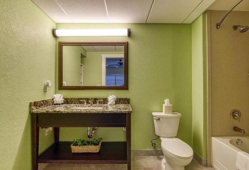 דירת חדר נוף לבריכה, New Hotel Collection Harbourside